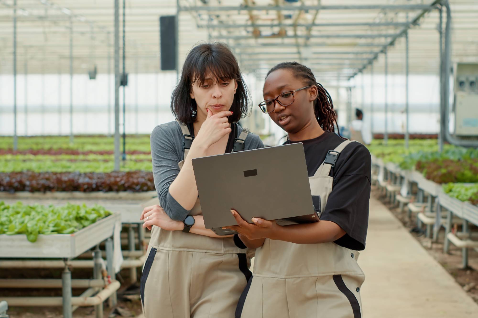 Signs Your Irrigation System Needs Repair